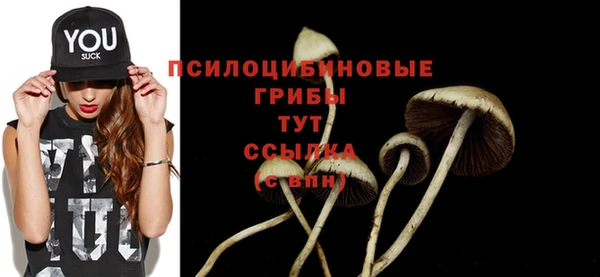 винт Бородино