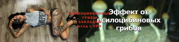 винт Бородино