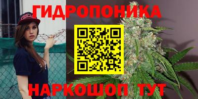 круглые Камышлов