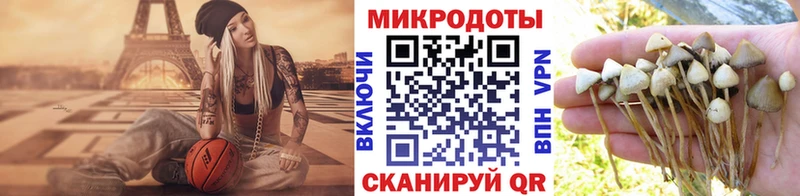 блэк спрут ONION  Медногорск  Галлюциногенные грибы MAGIC MUSHROOMS 