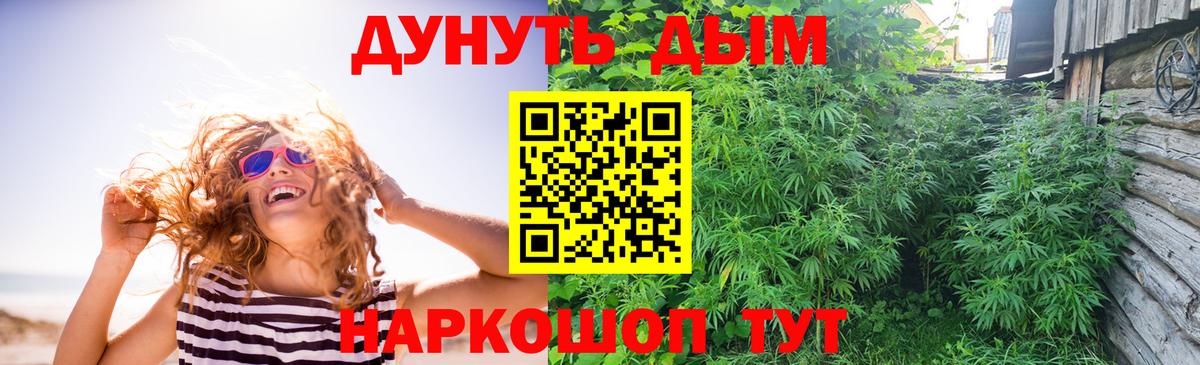 Бошки марихуана Bruce Banner  Канабис Amnesia  МАРИХУАНА план  Медногорск  Вход с VPN 